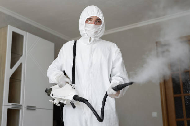 Why You Should Choose Our Mold Remediation Services in Murfreesboro, TN